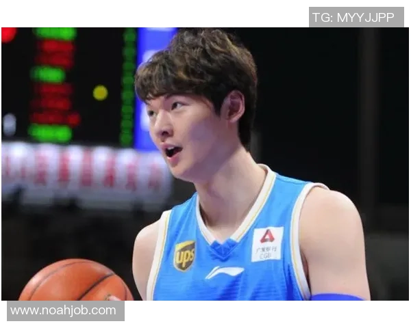 姚明与哈德森的现状分析及未来发展展望