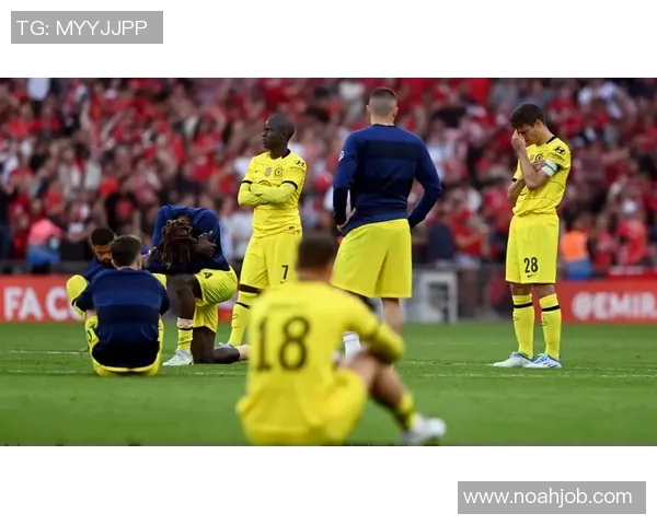 足总杯精彩对决：利物浦大胜切尔西神扑瞬间引发全场狂欢数据分析揭秘